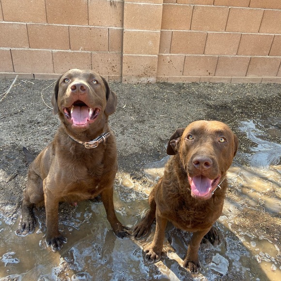 Meet the Posher!! :) - Picture 4 of 6